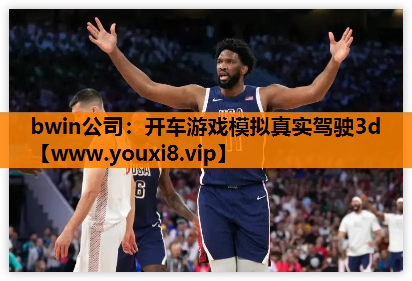 bwin公司：开车游戏模拟真实驾驶3d