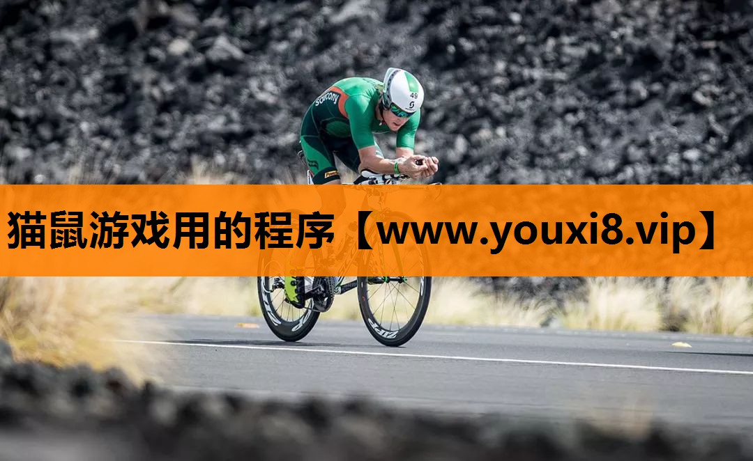猫鼠游戏用的程序