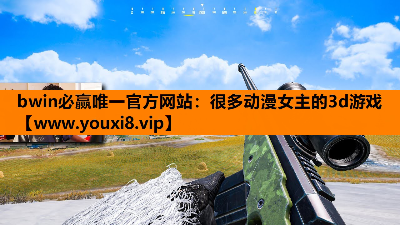 很多动漫女主的3d游戏