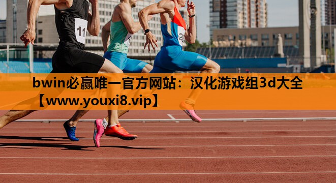 汉化游戏组3d大全